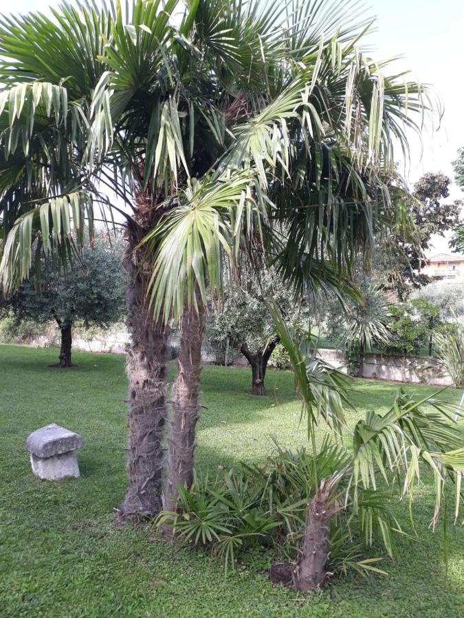 Appartamento Alice Cavaion Veronese Luaran gambar